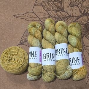 Brine Dyeworks Yarn Set in Tonal Yellows ("Connor")